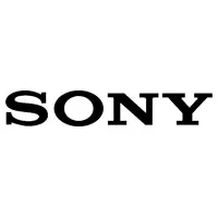 Ремонт нетбуков Sony в Петрозаводске