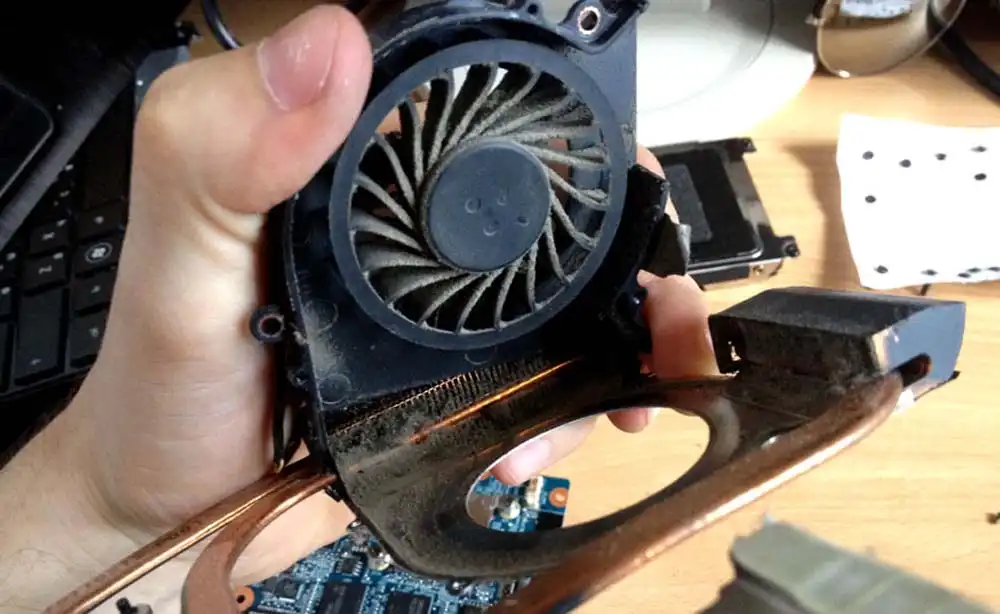 Чистка ноутбука HP от пыли в Петрозаводске | Замена термопасты