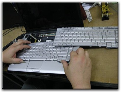 Ремонт клавиатуры на ноутбуке Toshiba в Петрозаводске